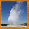 Yellowstone 2005 button