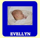 Evellyn 2007