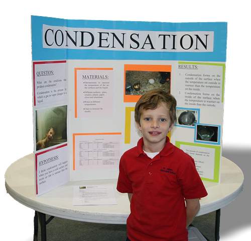 William's Science Fair Project